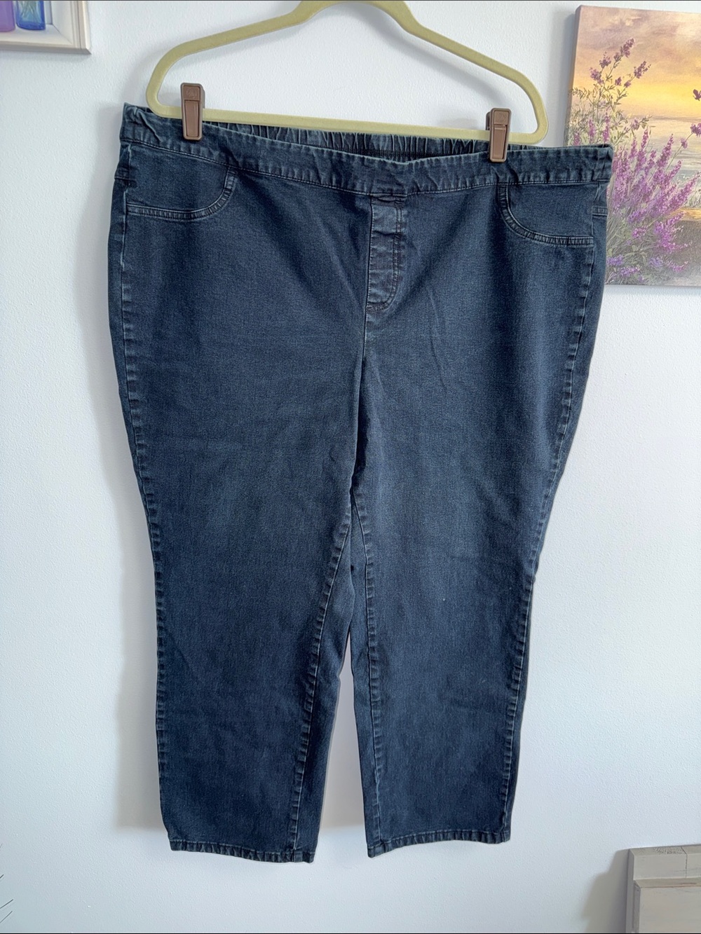 Plus-Size Stretch Pull-On Jeans for Women